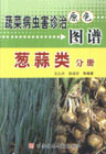 蔬菜病蟲害診治原色圖譜蔥蒜類分冊 蔬菜病蟲害診治原色圖譜蔥蒜類分冊