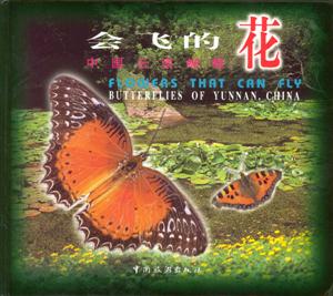 會飛的花中國云南蝴蝶[圖集]