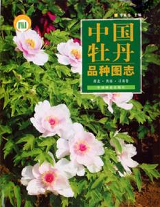 中國牡丹品種圖志西北西南江南卷 中國牡丹品種圖志西北西南江南卷