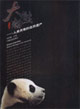 大熊貓人類(lèi)共有的自然遺產(chǎn)