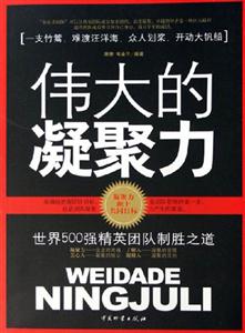 偉大的凝聚力世界500強精英團隊制勝之道 偉大的凝聚力世界500強精英團隊制勝之道