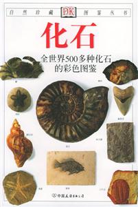 化石全世界500多種化石的彩色圖鑒 化石全世界500多種化石的彩色圖鑒
