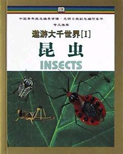 古羅馬 古羅馬