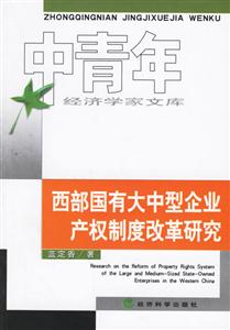 西部國有大中型企業產權制度改革研究