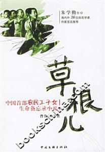 《草根兒中國首部農民工子女生命備忘錄小說》讀后感800字：草根人生，情感與挑戰交織的備忘錄！