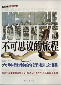 不可思議的旅程六種動(dòng)物的遷徙之路 不可思議的旅程六種動(dòng)物的遷徙之路