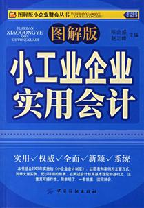 小工業(yè)企業(yè)實用會計 小工業(yè)企業(yè)實用會計