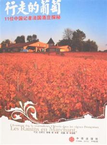 行走的葡萄11位中國記者法國酒莊探秘 行走的葡萄11位中國記者法國酒莊探秘