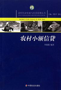 農村小額信貨 農村小額信貨