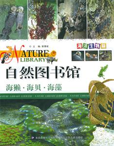 自然圖書館海獺海貝海藻 自然圖書館海獺海貝海藻