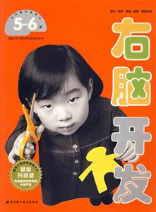 左右腦開發(fā)系列右腦開發(fā)45歲 左右腦開發(fā)系列右腦開發(fā)45歲