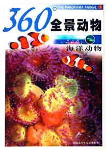 360全景動物海洋動物 360全景動物海洋動物