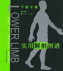 實(shí)用解剖圖譜下肢分冊(cè) 實(shí)用解剖圖譜下肢分冊(cè)