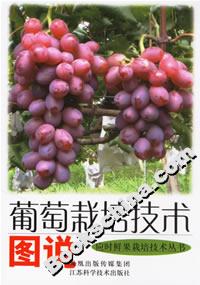 葡萄栽培技術(shù)圖說(shuō) 葡萄栽培技術(shù)圖說(shuō)
