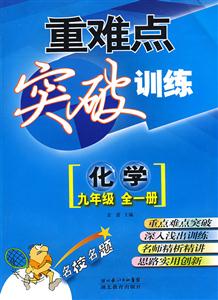 化學九年級全一冊重難點突破訓練 化學九年級全一冊重難點突破訓練