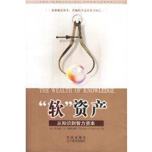 《軟資產(chǎn)從知識到智力資本》讀后感800字：揭秘軟資產(chǎn)背后的力量，人物角色的智慧與生活挑戰(zhàn)！
