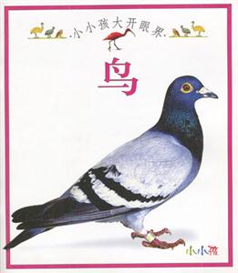 小小孩大開眼界鳥 小小孩大開眼界鳥