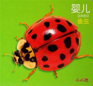 嬰兒BOOK魚(yú)蟲(chóng) 嬰兒BOOK魚(yú)蟲(chóng)