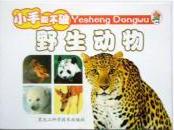小笨熊成長啟蒙系列小笨熊動(dòng)物百科[野生動(dòng)物]
