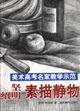 羅堅熊紹明素描靜物美術高考名家教學示范 羅堅熊紹明素描靜物美術高考名家教學示范