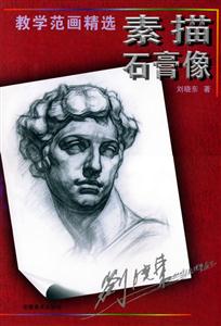 教學(xué)范畫精選素描石膏像 教學(xué)范畫精選素描石膏像