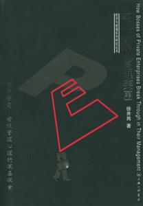 民企老板管理突圍經濟與管理系列研究叢書 民企老板管理突圍經濟與管理系列研究叢書