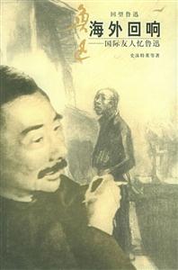 《海外回響》讀后感400字：海外的回響，人物的跨越與情感的碰撞，一場關于追尋與挑戰的深度揭秘！