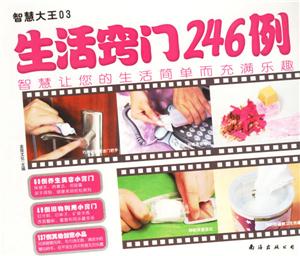 生活竅門(mén)246例智慧大王03 生活竅門(mén)246例智慧大王03