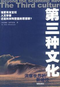 《第三種文化洞察世界的新途徑》讀后感400字：第三種文化的神秘面紗，人物思維的碰撞與融合，一場關于新視角與洞察力的探索之旅！