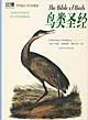 世界偉大的鳥類圖譜珍藏thebibleofbirds鳥類圣經 世界偉大的鳥類圖譜珍藏thebibleofbirds鳥類圣經