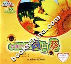 太陽之花向日葵 太陽之花向日葵