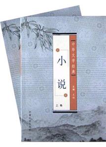 小說(shuō) 小說(shuō)