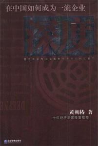 深度在中國如何成為一流企業 深度在中國如何成為一流企業