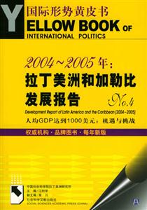 20042005年拉丁美洲和加勒比發展報告NO4 20042005年拉丁美洲和加勒比發展報告NO4