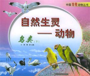自然生靈動物
