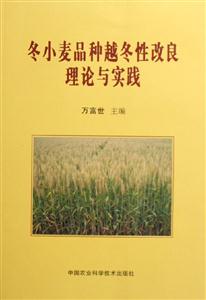 冬小麥品種越冬性改良理論與實踐 冬小麥品種越冬性改良理論與實踐