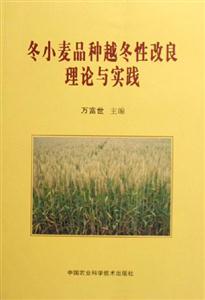 冬小麥越冬期凍害及防凍減災(zāi) 冬小麥越冬期凍害及防凍減災(zāi)