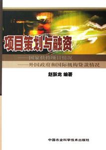 項目策劃與融資國家扶持項目情況外國政府和國際機構貸款情況
