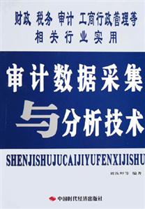 審計數據與分析技術 審計數據與分析技術