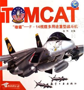 雄貓F14艦載多用途重型戰斗機 雄貓F14艦載多用途重型戰斗機