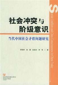 社會沖突與階級意識當代中國社會矛盾問題研究 社會沖突與階級意識當代中國社會矛盾問題研究