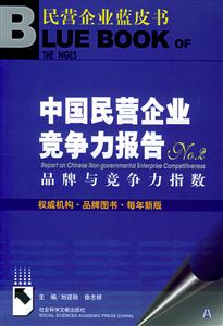 中國民營企業競爭力報告 中國民營企業競爭力報告