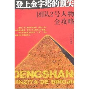 登上金字塔的頂尖No2團隊號人物全攻略 登上金字塔的頂尖No2團隊號人物全攻略