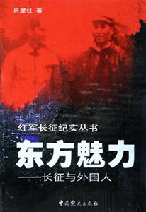 東方魅力 東方魅力
