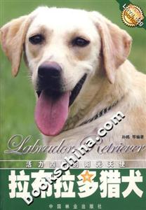 拉布拉多獵犬 拉布拉多獵犬