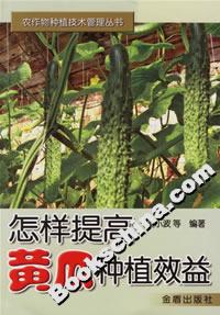 怎樣提高黃瓜種植效益 怎樣提高黃瓜種植效益