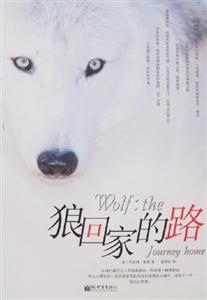 狼回家的路 狼回家的路