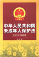 中華人民共和國未成年人保護法 中華人民共和國未成年人保護法