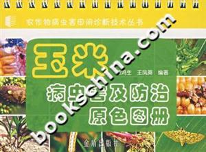 玉米病蟲害及防治原色圖冊 玉米病蟲害及防治原色圖冊
