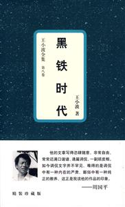 王小波全集第八卷黑鐵時代